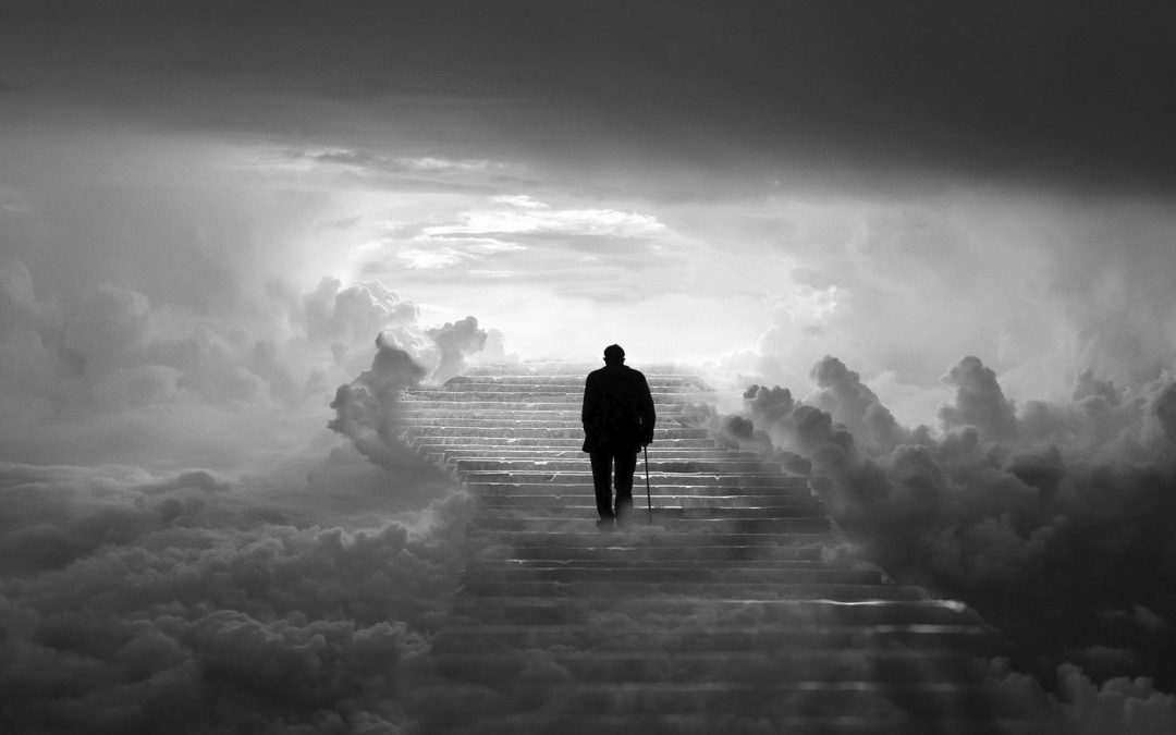 Trauerbenachrichtigung Toni Wiora